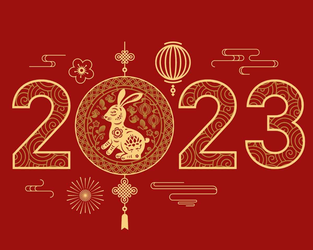 2023, year of the rabbit